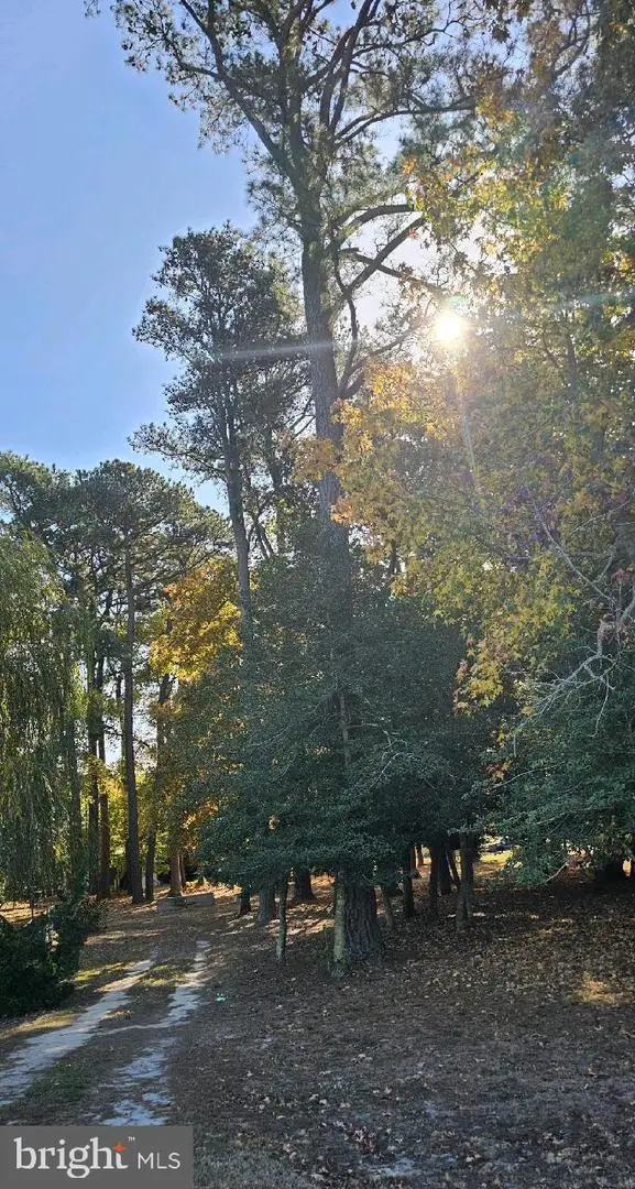 5 And 7 Woodland Ave, Ocean View, DE 19970 - #3