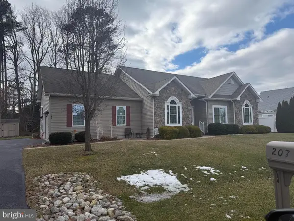 207 Wood Duck Dr, MILLSBORO, DE 19966