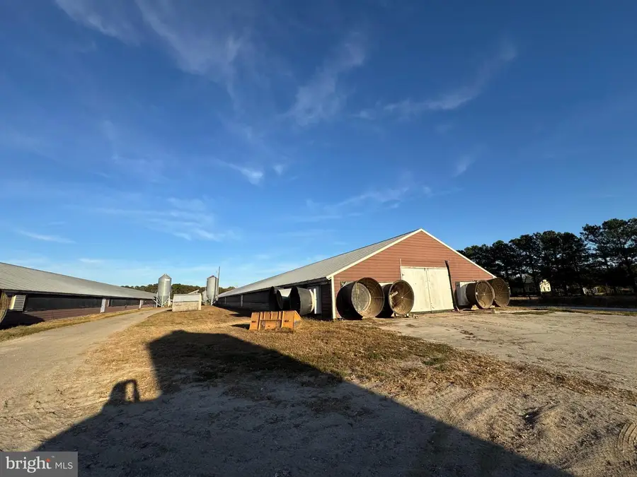 31568 Mount Pleasant Rd, Laurel, DE 19956 - #3