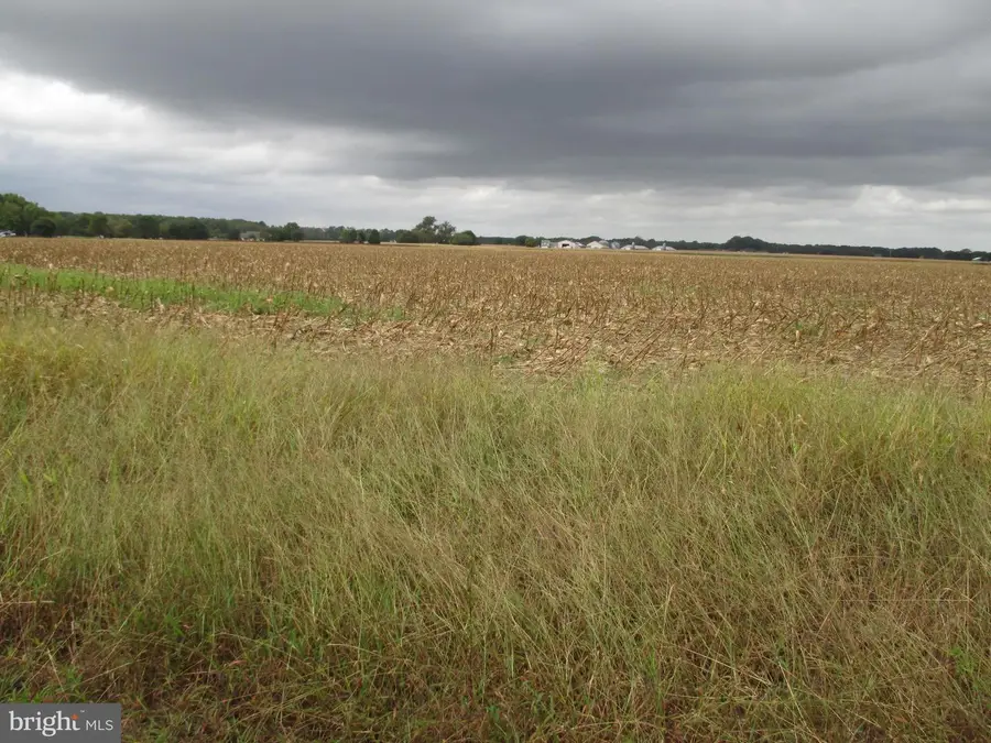 Lot 6 Gray Road, Dagsboro, DE 19939 - #2
