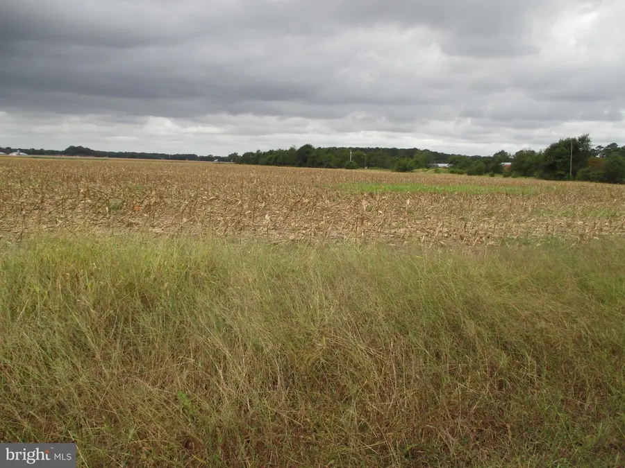 Lot 6 Gray Road, Dagsboro, DE 19939 - #3