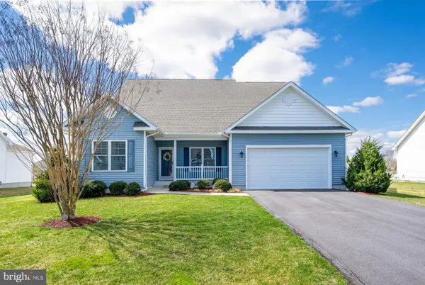 20232 Long Meadow Ln, LEWES, DE 19958