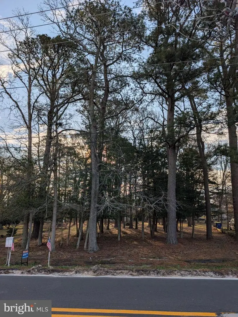 7 Woodland Ave, Ocean View, DE 19970 - #1