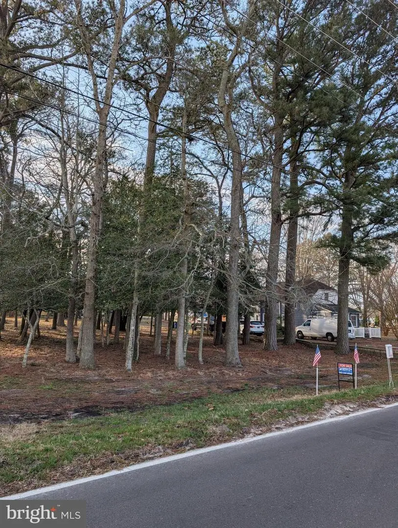 7 Woodland Ave, Ocean View, DE 19970 - #3