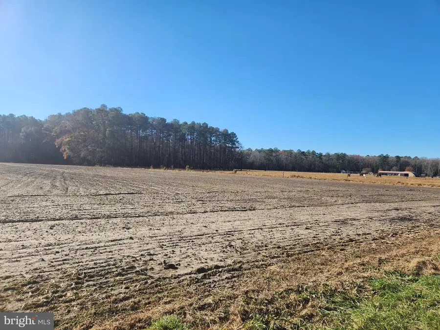 Lot #4 Pepperbox, Laurel, DE 19956 - #3