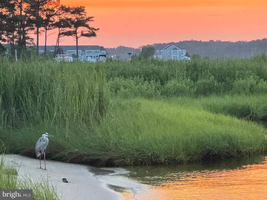 30651 Tower Pl, Selbyville, DE 19975 - #3