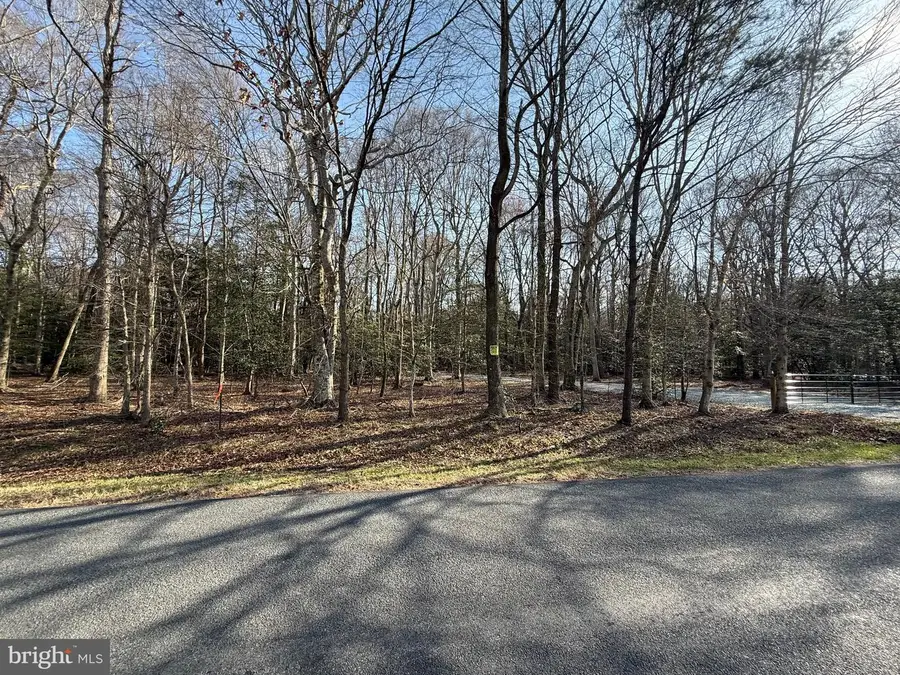 0 Utica Rd #parcel 4, Greenwood, DE 19950 - #3