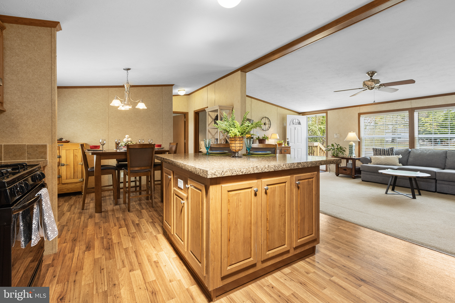 14480 Russell St, Milton, DE 19968 - #2