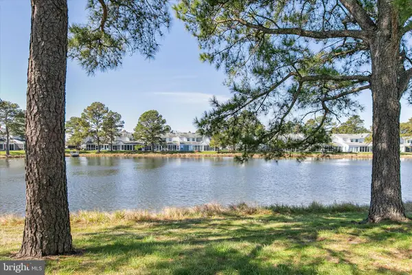 38096 Mockingbird Ln #28, SELBYVILLE, DE 19975