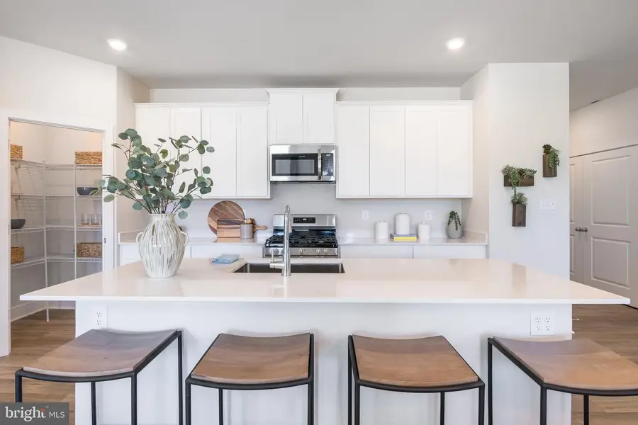 29745 Highbridge Way, Millsboro, DE 19966 - #2