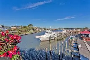 223 Abbott Park Ln, Lewes, DE 19958 - #1
