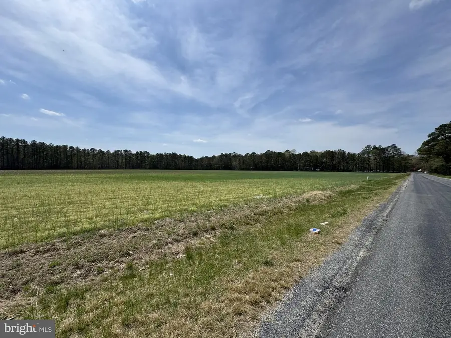 0 Bennum Switch Rd, Georgetown, DE 19947 - #3