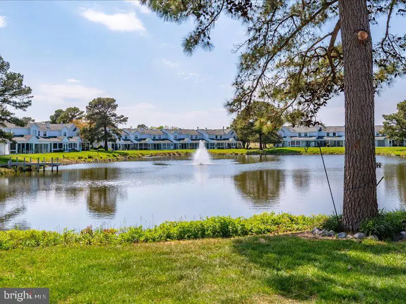 38369 Bluebird Ln #377, Selbyville, DE 19975 - #1