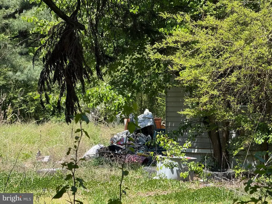 18594 Oak Rd, Bridgeville, DE 19933 - #3