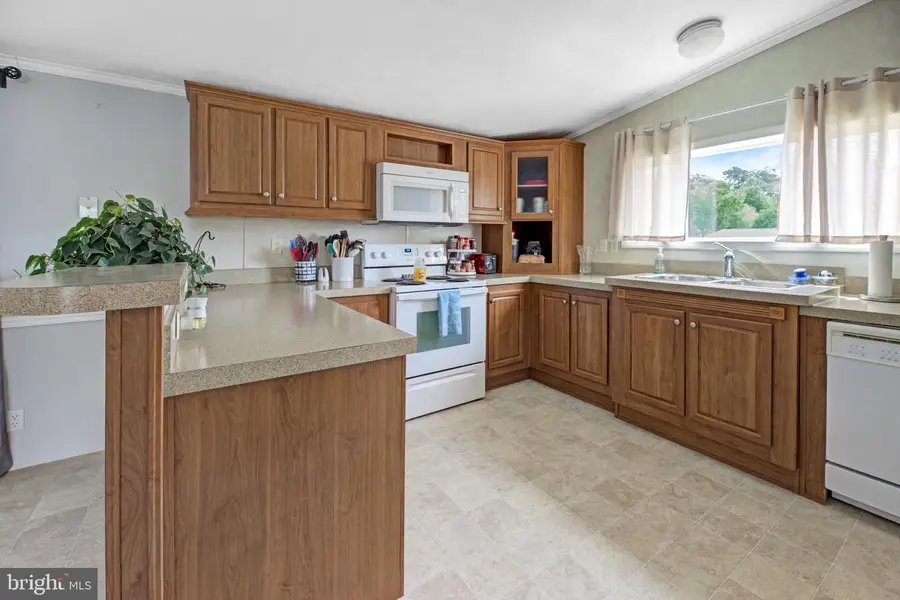 13 Marie Ct, Millsboro, DE 19966 - #3