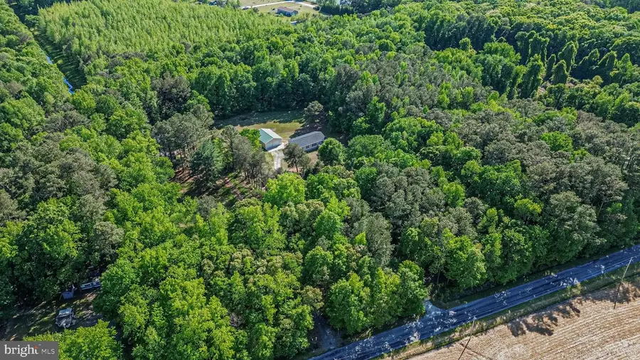 13194 Hunters Cove Rd, Greenwood, DE 19950 - #3
