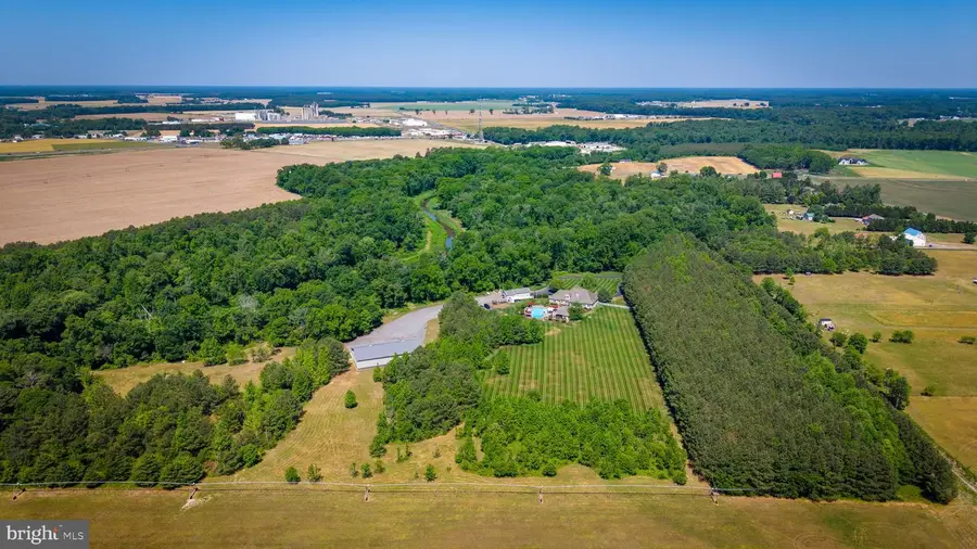 16875 The Right Way, Bridgeville, DE 19933 - #3