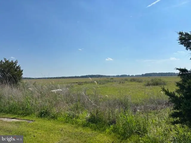 462 Bay Ave, Milford, DE 19963 - #1