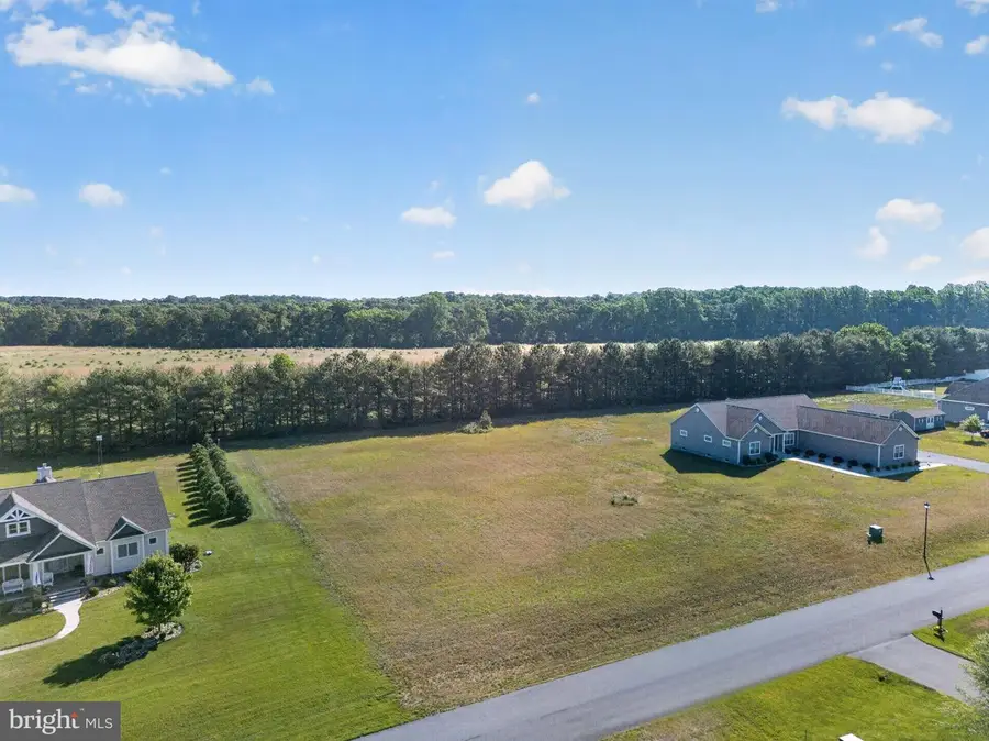 16308 Edgewater Ct, Milton, DE 19968 - #3