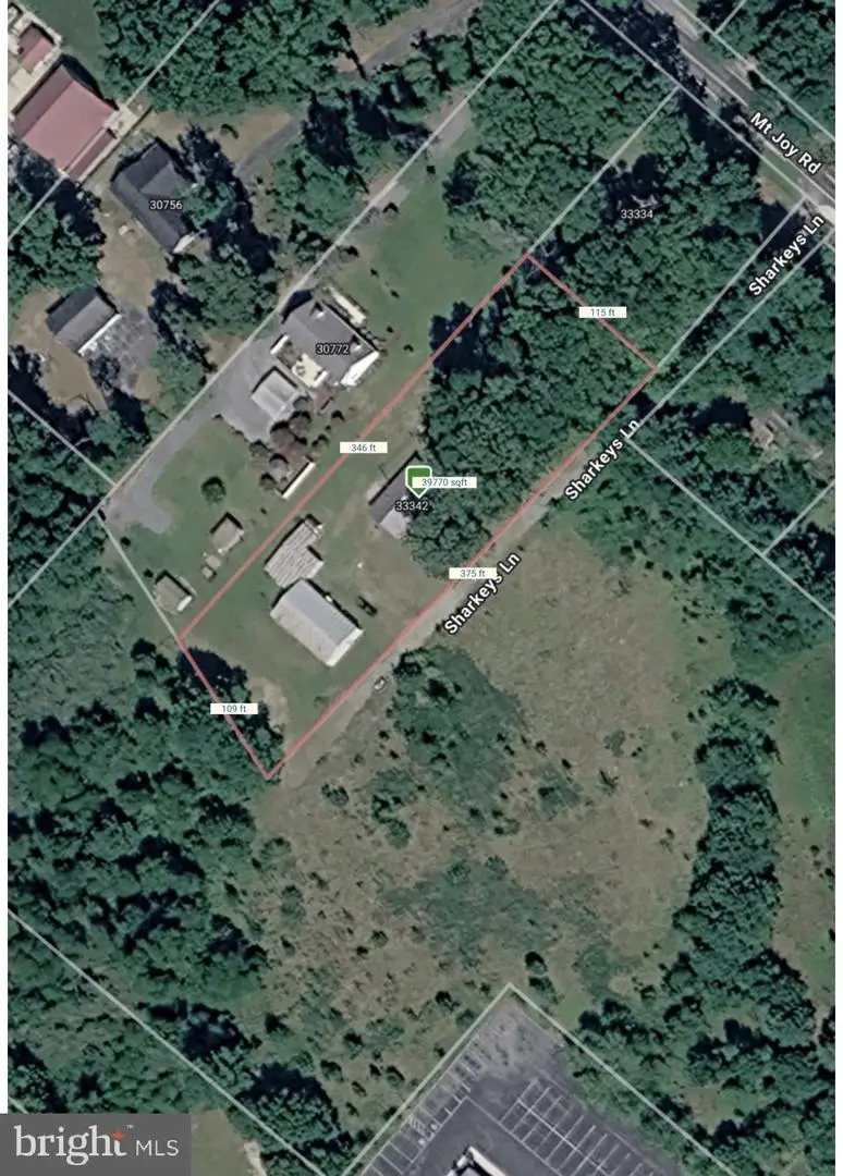 33342 Sharkeys Ln, Millsboro, DE 19966 - #3