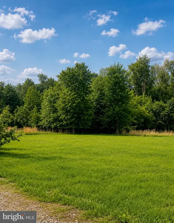 Lot Jay Patch Road, SELBYVILLE, DE 19975
