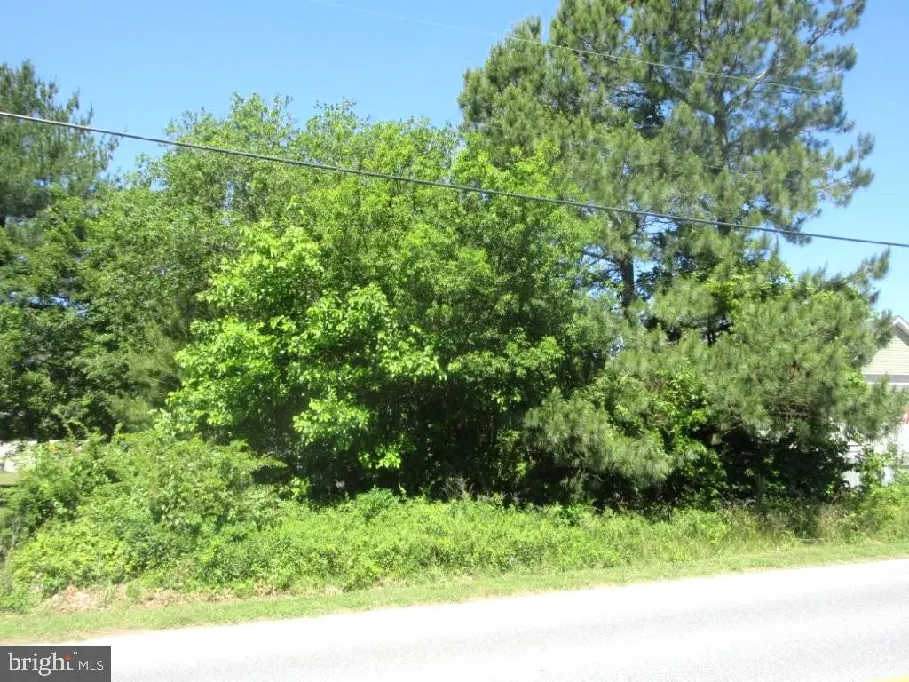 Lot 20 Callaway Ave, Seaford, DE 19973 - #1