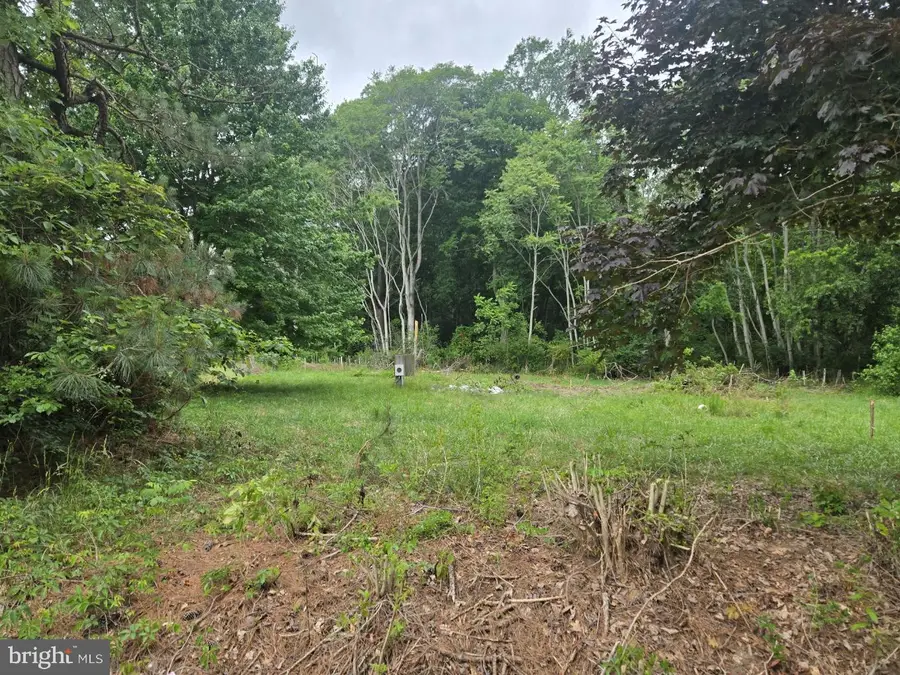 32298 Powell Farm Rd, Frankford, DE 19945 - #2