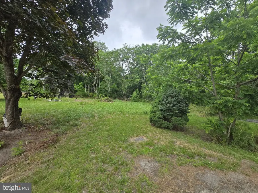 32298 Powell Farm Rd, Frankford, DE 19945 - #3