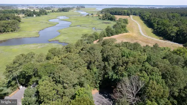 Lot 12 Mallard Dr, DAGSBORO, DE 19939