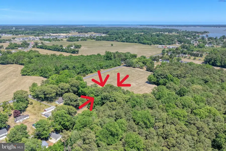 -lot 8 Holly Tree Road, Millsboro, DE 19966 - #2