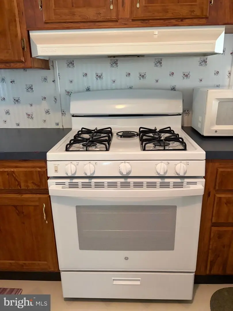 24169 Durham St, Georgetown, DE 19947 - #3