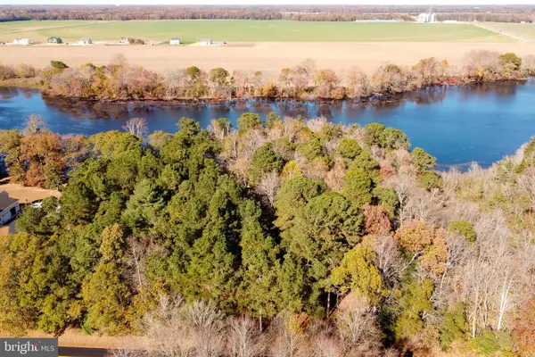 Lot 4 Reynolds Pond Rd, ELLENDALE, DE 19947