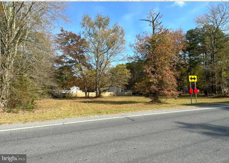 0 Mount Joy Road, Millsboro, DE 19966 - #2