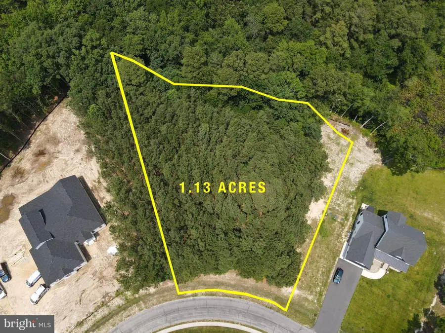 24762 Millpond Ln, Georgetown, DE 19947 - #3