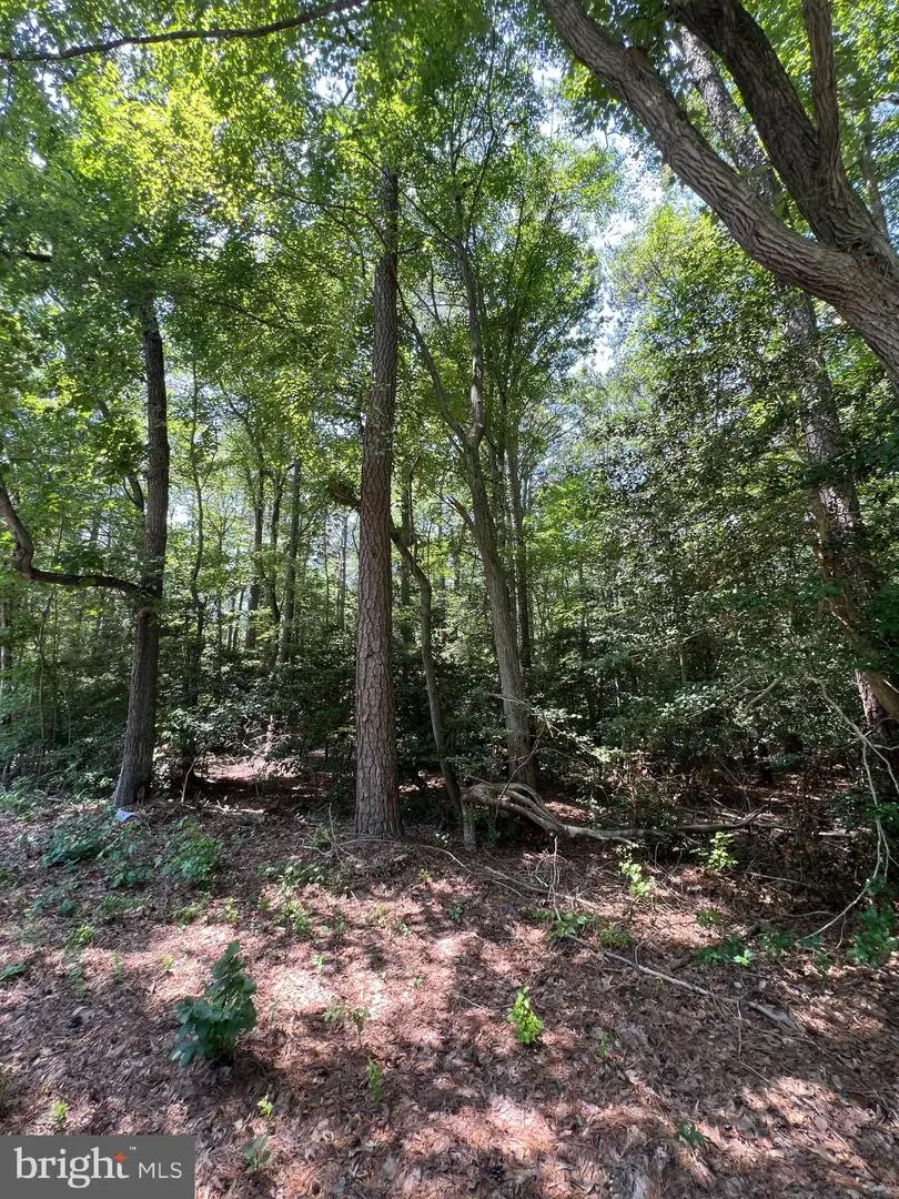 107 W Vega Way #7, Milton, DE 19968 - #1