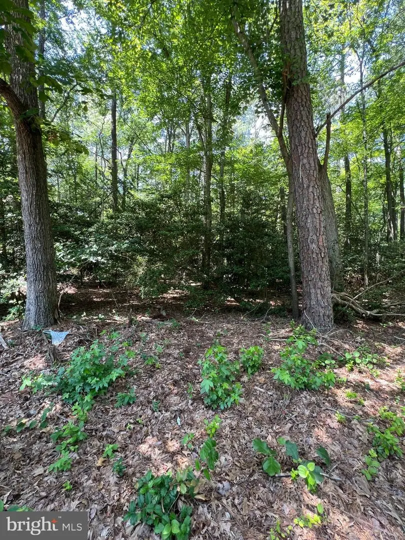 109 W Vega Way #lot 8, Milton, DE 19968 - #2