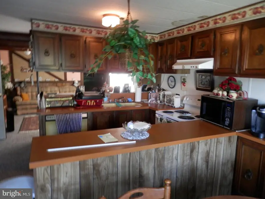 34083 Clematis St, Lewes, DE 19958 - #3