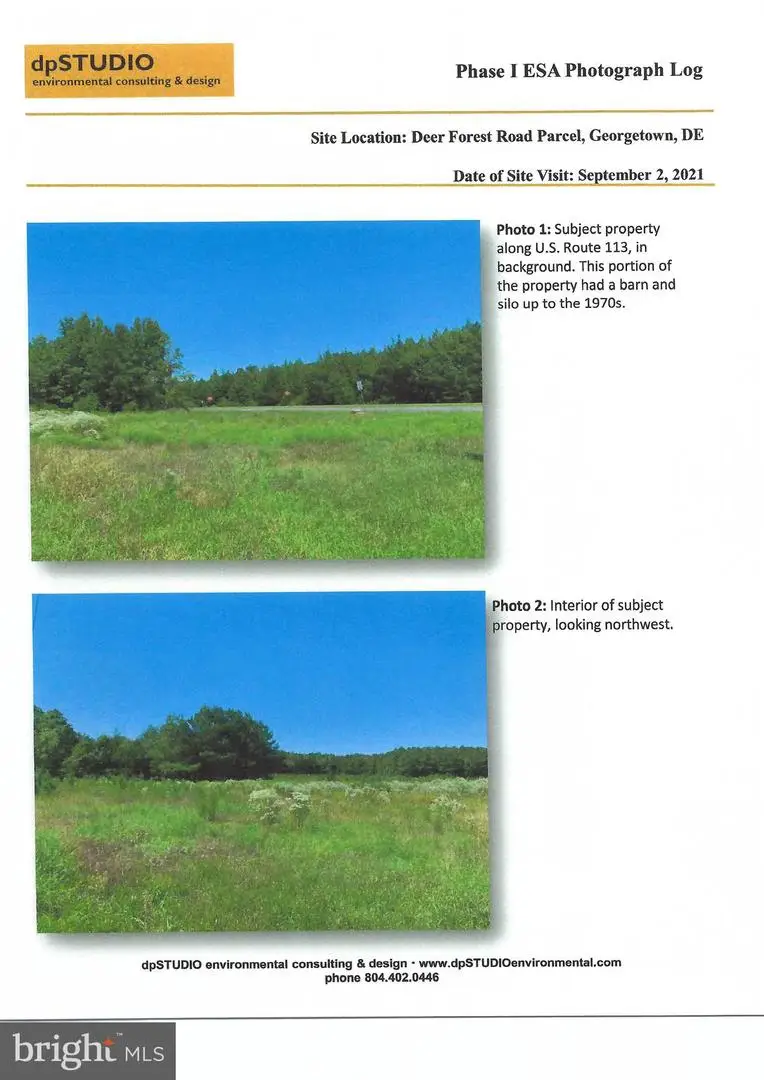 0 0 Rt 113 And Deer Forest Rd, Georgetown, DE 19947 - #3