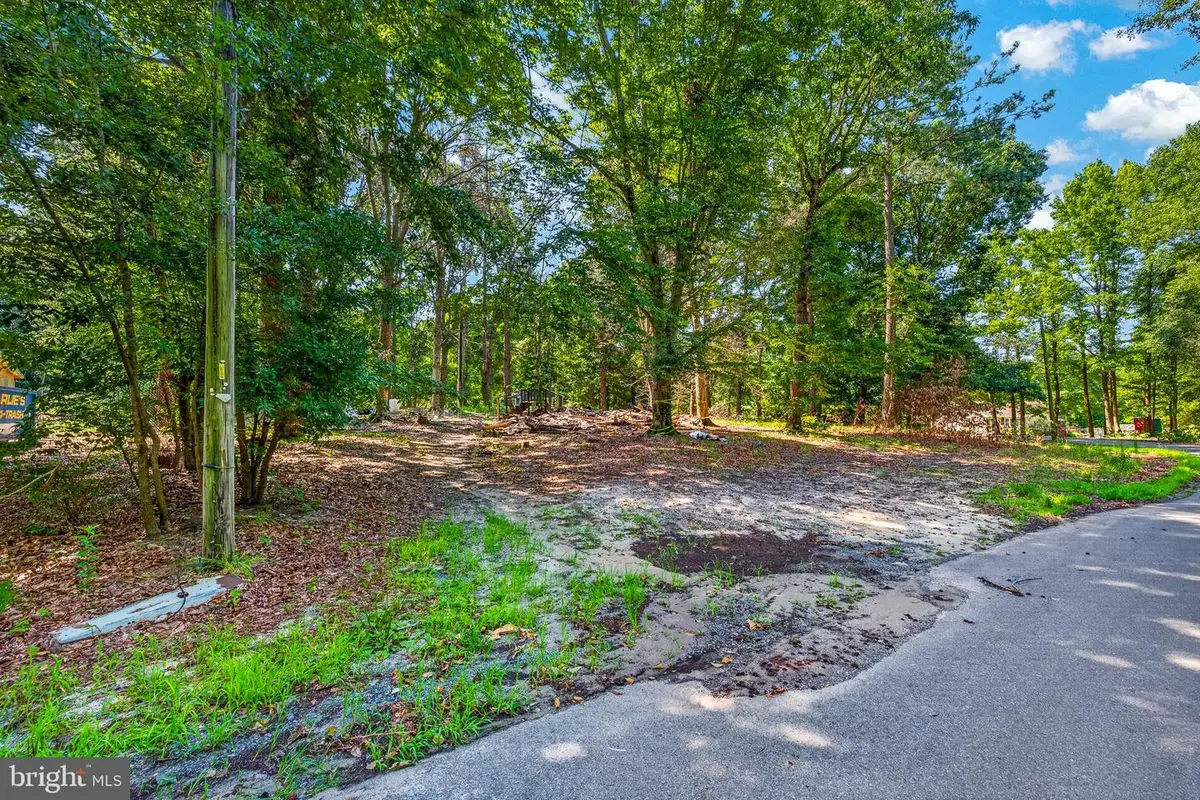 21857 Mill Park Dr, Bridgeville, DE 19933 - #1