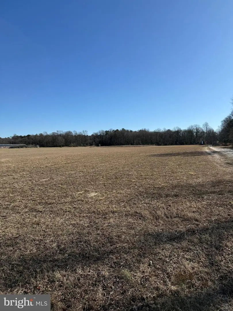 12393-lot # 3 Taylor Mill Road, Laurel, DE 19956 - #1
