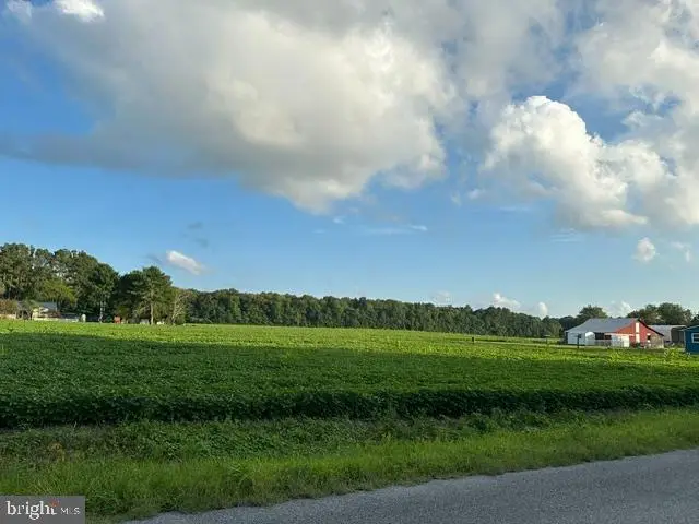 0 Adams Road, Laurel, DE 19956 - #3