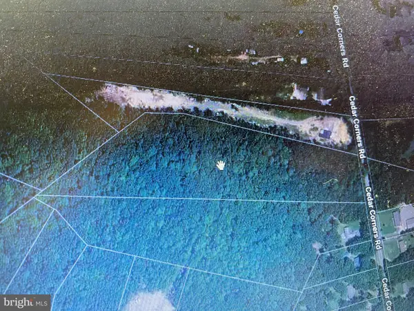 10.96 Acres Cedar Corners Rd, BRIDGEVILLE, DE 19933