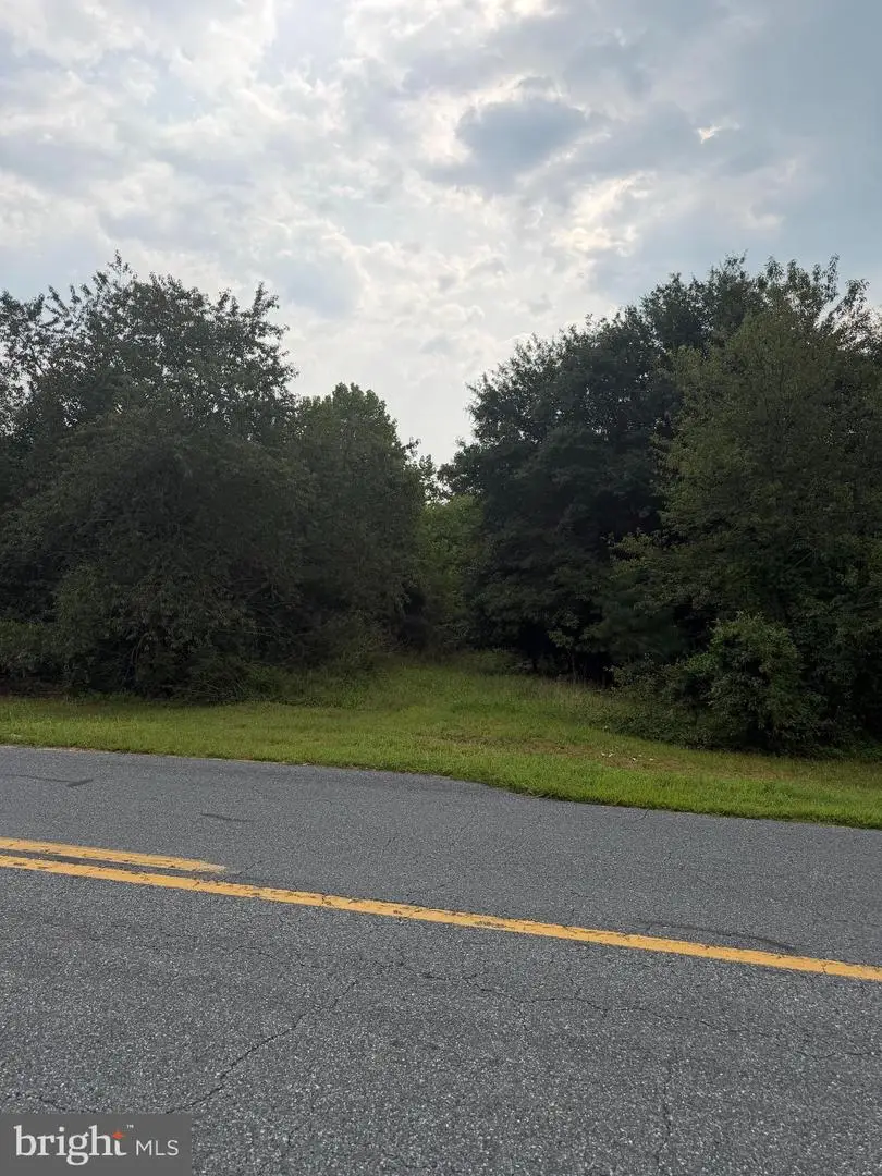 31523 Mount Pleasant Rd, Laurel, DE 19956 - #2