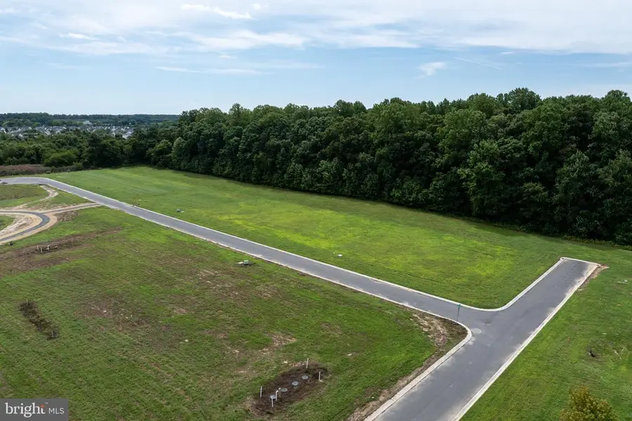 17038 Regal Dr, Milton, DE 19968 - #3