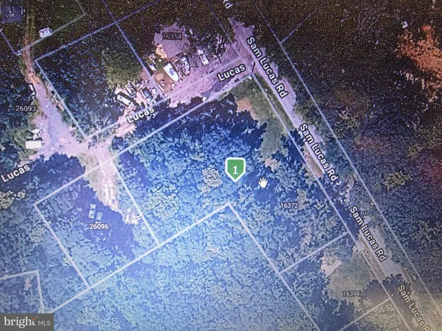 16372 Sam Lucas Rd, Milton, DE 19968 - #2