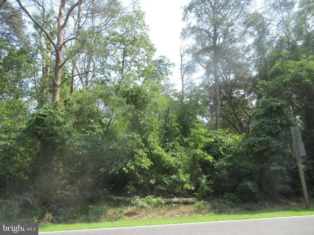 Lot 2 River Rd, Seaford, DE 19973 - #1