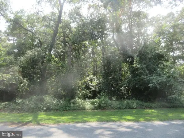 Parcel 75.00 Armiger Dr, SEAFORD, DE 19973