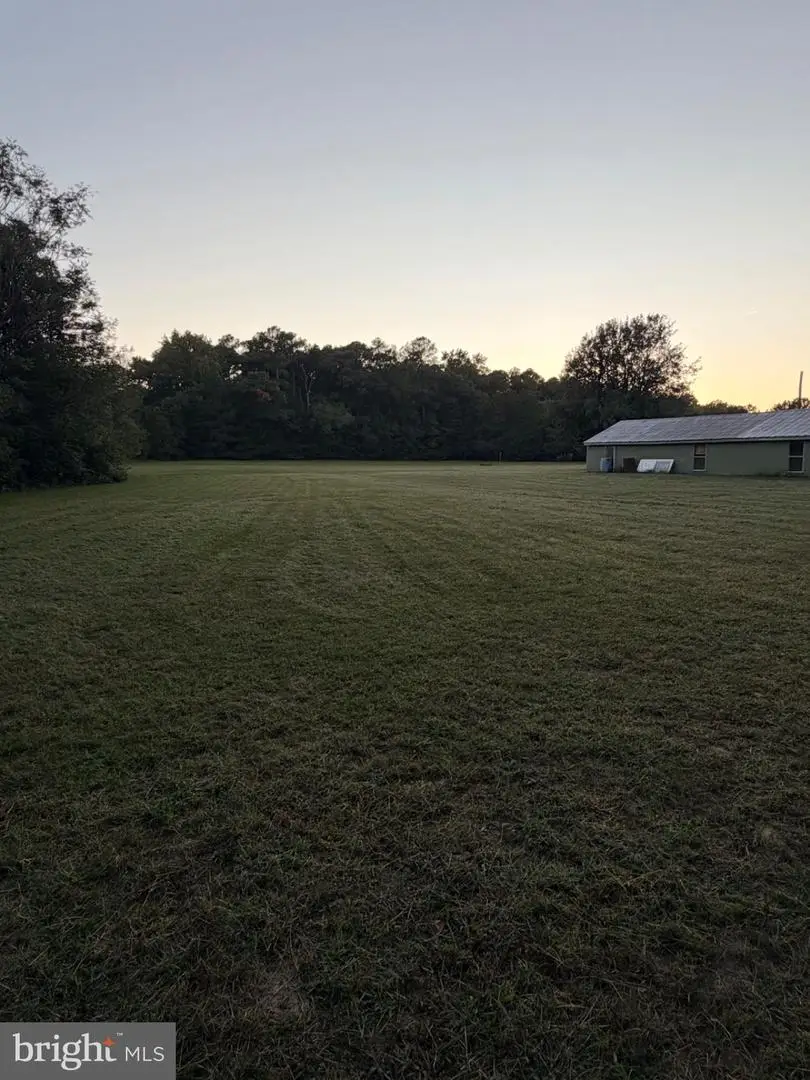 Lot 1 Butler Branch Rd, Seaford, DE 19973 - #3