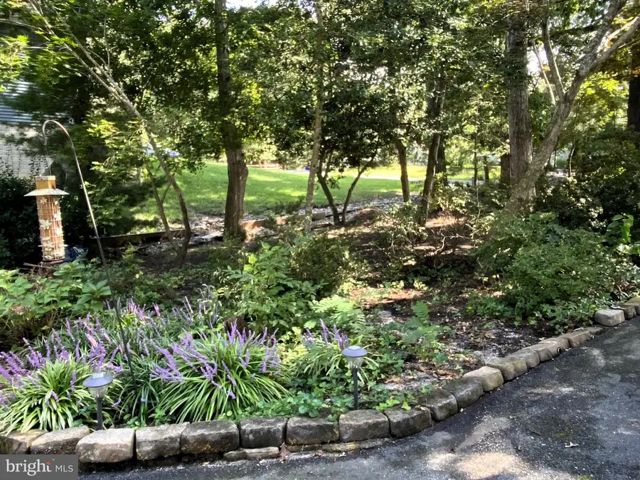 36323 Wildwood Dr, Rehoboth Beach, DE 19971 - #3