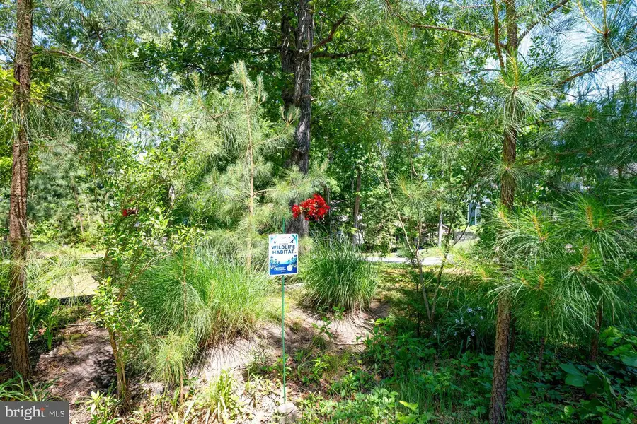 18816 Sylvan Dr, Rehoboth Beach, DE 19971 - #3